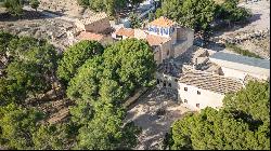 Impressive rustic finca in Novelda