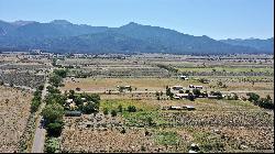 11 Acres Off Buena Vista Road, Cerro NM 87556