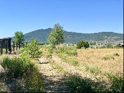 11 Acres Off Buena Vista Road, Cerro NM 87556