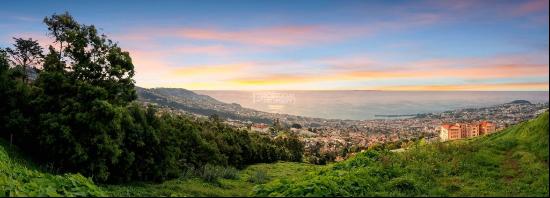 Funchal Madeira