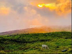  , Azores Azores