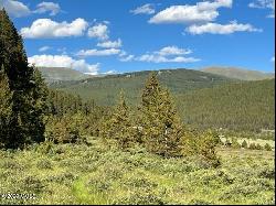 24545 Highway 24, Leadville CO 80461