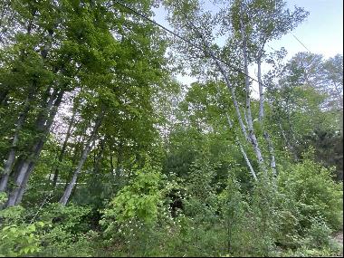 Lot 1 Mountain Rd, Hadley NY 12835