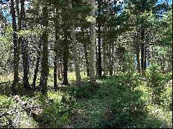 Lot 1158 Panorama Way N, Angel Fire NM 87710