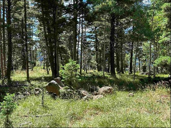 Lot 1158 Panorama Way N, Angel Fire NM 87710