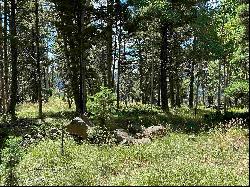 Lot 1158 Panorama Way N, Angel Fire NM 87710