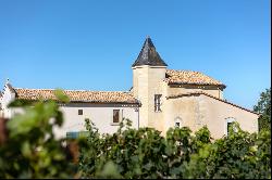 BEAUTIFUL WINE PROPERTY IN THE SATELLITE OF SAINT EMILION - 34 HA ORGANIC