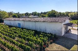 BEAUTIFUL WINE PROPERTY IN THE SATELLITE OF SAINT EMILION - 34 HA ORGANIC