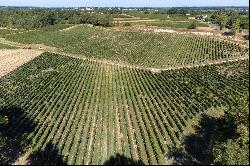 BEAUTIFUL WINE PROPERTY IN THE SATELLITE OF SAINT EMILION - 34 HA ORGANIC