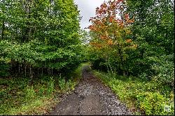 L-12/13/14 Mt Pisgah Park, Saranac Lake NY 12983