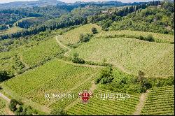 Chianti Classico - WINE ESTATE WITH 24.8 HA OF VINEYARDS FOR SALE IN TUSCANY
