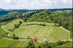 CHIANTI CLASSICO VINEYARDS FOR SALE IN SAN CASCIANO VAL DI PESA