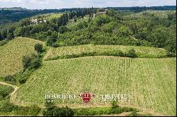 Chianti Classico - WINE ESTATE WITH 24.8 HA OF VINEYARDS FOR SALE IN TUSCANY