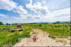Chianti Classico - WINE ESTATE WITH 24.8 HA OF VINEYARDS FOR SALE IN TUSCANY