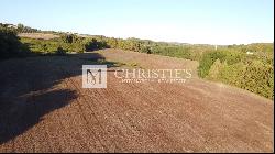 Beautiful vineyard estate of 21 hectares of organic agriculture