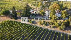 Beautiful vineyard estate of 21 hectares of organic agriculture