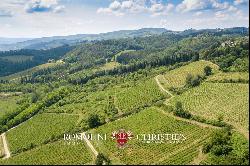 Chianti Classico - VILLA WITH 24,8 HA OF VINEYARDS FOR SALE IN TUSCANY