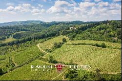 Chianti Classico - VILLA WITH 24,8 HA OF VINEYARDS FOR SALE IN TUSCANY