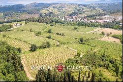 Chianti Classico - VILLA WITH 24,8 HA OF VINEYARDS FOR SALE IN TUSCANY