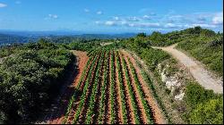 Isolated property with breathtaking views 10 ha, Farmhouse and Gites, small vineyard