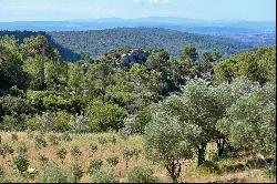 Isolated property with breathtaking views 10 ha, Farmhouse and Gites, small vineyard