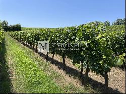 For sale 20 minutes from Bergerac, Beautiful family vineyard estate of 28ha in organic fa