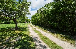 75750 Overseas Highway, Islamorada