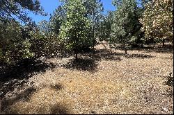 0 L Way, Lake Arrowhead, CA 92352