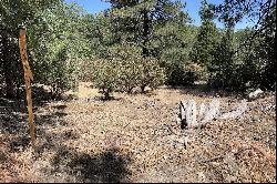 0 L Way, Lake Arrowhead, CA 92352