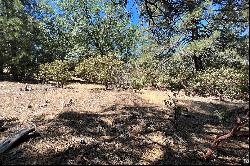 0 L Way, Lake Arrowhead, CA 92352