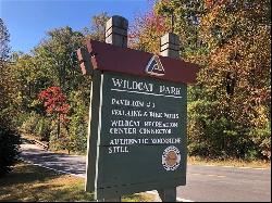 3343 Wildcat Trail, Jasper GA 30143