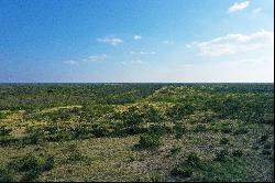 8,996+/- Acres G.K. Paloma Ranch, Eagle Pass, TX 78852