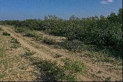 8,996+/- Acres G.K. Paloma Ranch, Eagle Pass, TX 78852