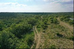 8,996+/- Acres G.K. Paloma Ranch, Eagle Pass, TX 78852