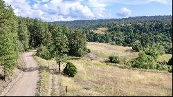 16 Acres Tract C 1 El Valle, El Valle NM 87521