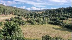 16 Acres Tract C 1 El Valle, El Valle NM 87521