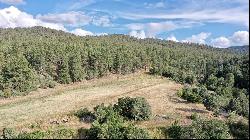 16 Acres Tract C 1 El Valle, El Valle NM 87521