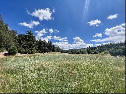 16 Acres Tract C 1 El Valle, El Valle NM 87521