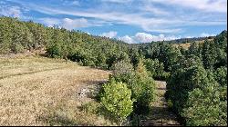 16 Acres Tract C 1 El Valle, El Valle NM 87521