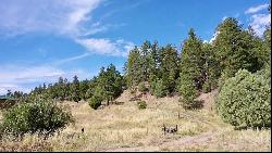 16 Acres Tract C 1 El Valle, El Valle NM 87521