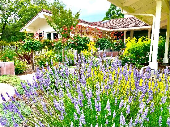 Luxury in the Hills of Sonoma