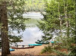 Adirondack Camp with Additional Building Lots