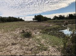 32.97 Acres E Cr 121, Iola TX 77861