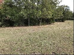 32.97 Acres E Cr 121, Iola TX 77861