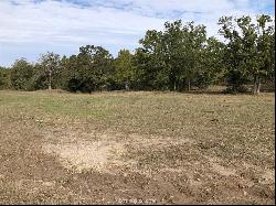 32.97 Acres E Cr 121, Iola TX 77861