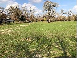 72.96 Acres E Cr 121, Iola TX 77861