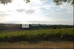 For sale beautiful 18-ha vinyard estate in a dominant position overlooking the vineyard v