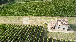 For sale beautiful 18-ha vinyard estate in a dominant position overlooking the vineyard v