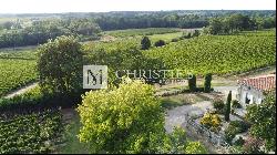 For sale beautiful 18-ha vinyard estate in a dominant position overlooking the vineyard v
