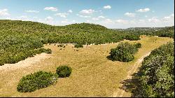 200+/- Acres WNS Ranch, Kendall County , Boerne, TX 78006